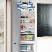 Bosch GSN29EWEV SERIE 4 EXCLUSIV Diepvrieskast kastmodel-9