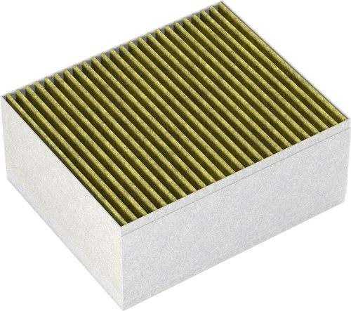 LZ31XXB16 cleanAir Plus AntiAllergeen/AntiFish koolfilter voor wand- e